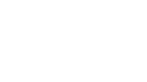 日常を彩るカーライフを